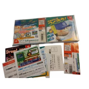 Pro Yakyuu Team o Tsukurou! Sega Dreamcast COMPLET Jeux Import japonais spincard