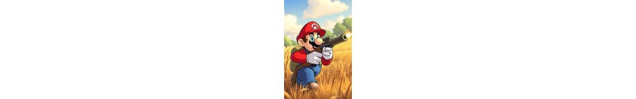 Nintendo Wii et Wii U Accessoires